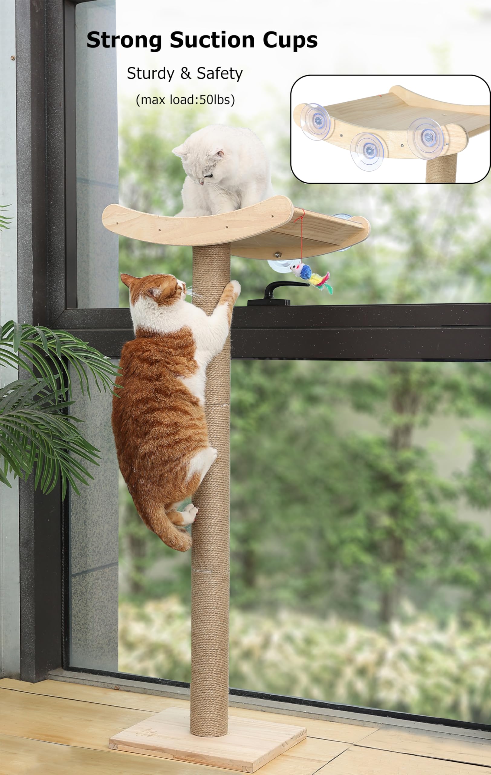 Window Cat Perch with Scratching Posts, 46" Wood Tree Bed for Large Inside Cats Climbing, Perching and Lounging, Mounted with 3 Strong Suction Cups (Wood Platform)