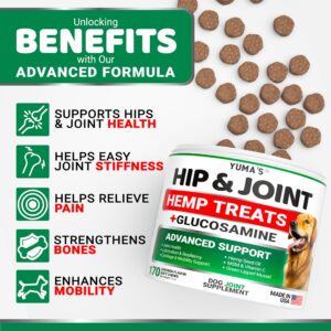 YUMA'S Hemp Hip and Joint Supplement for Dogs - Glucosamine for Dogs - 170 Dog Joint Pain Relief Chews - Chondroitin, MSM - Hemp Oil - Advanced Dog Joint Supplement Health - Mobility Support Treats