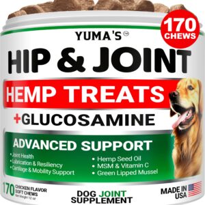 YUMA'S Hemp Hip and Joint Supplement for Dogs - Glucosamine for Dogs - 170 Dog Joint Pain Relief Chews - Chondroitin, MSM - Hemp Oil - Advanced Dog Joint Supplement Health - Mobility Support Treats