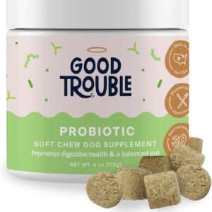 Good Trouble Pets Probiotic Supplement for Dogs - Chicken Flavor, 30 Chews - Enhanced Digestive Support (Packs of 3)