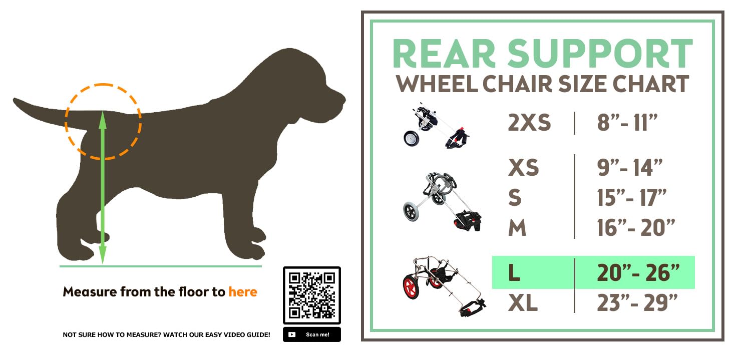 Best Friend Mobility Rear Support Wheelchair 2.0 Large Lightweight Dog Wheelchair for Back Legs