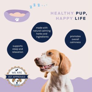 Calming Dog Treats - 90 Chews with Natural and Human-Grade Ingredients - Dog Calm Supplement to Calm Anxiety for Dogs - Effective Calming Aid for Dogs Good Trouble Pets