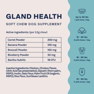 Good Trouble Pets Gland Support Soft Chew Dog Supplements: Anal Gland Wellness Formula & Digestive Health - Digestive Enzymes for Dogs (Packs of 3)