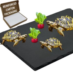 inoscind 15.7“ × 11.8" reptile basking platform,slate for tortoise,turtle feeding slate,habitat decor accessories basking rocks for bearded dragons chameleon snake frog lizard gecko bowl