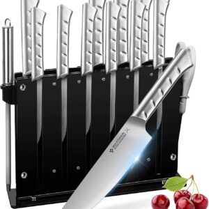 Block Knife Set, 15 PCS German Stainless Steel Sharp Kitchen Knives with Black Acrylic Stand, Professional Chef Knife Set with Steak Knives, Sharpener and Scissors