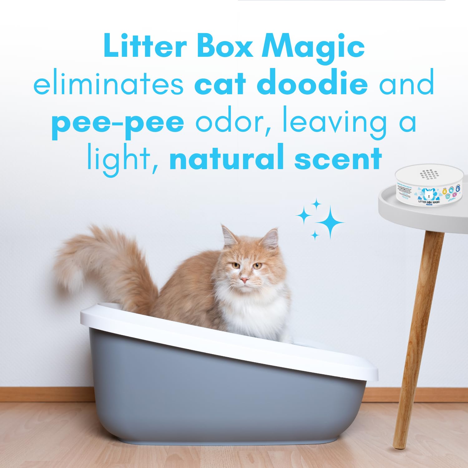 Litter Box Magic Cat Litter Deodorizer Jar (Fresh Scent, 16 Oz, Pack of 1) - Cat Litter Odor Absorber Gel In A Jar - Litter Box Pet Air Freshener - Litter Odor Eliminator to Freshen Air