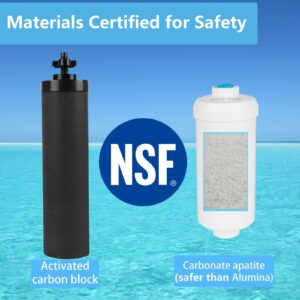 SUPER.BDACC Gravity Water Filter Replacement,for Berkey® Black Carbon (BB9-2®) Purification Elements and Fluoride Filters K5366 (PF-2®) Combo Pack,Compatible with Berkey® Filtration System,Pack of 4