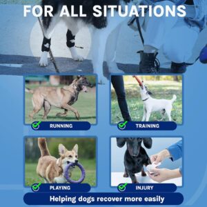 Rantow 2 Pack Dog Joint Brace Rear Leg Canine Hock Support - Dog Elbow Brace Compression Wrap Straps for ACL CCL Joint Injury and Sprain Protection, Healing and Loss of Stability from Arthritis (L)