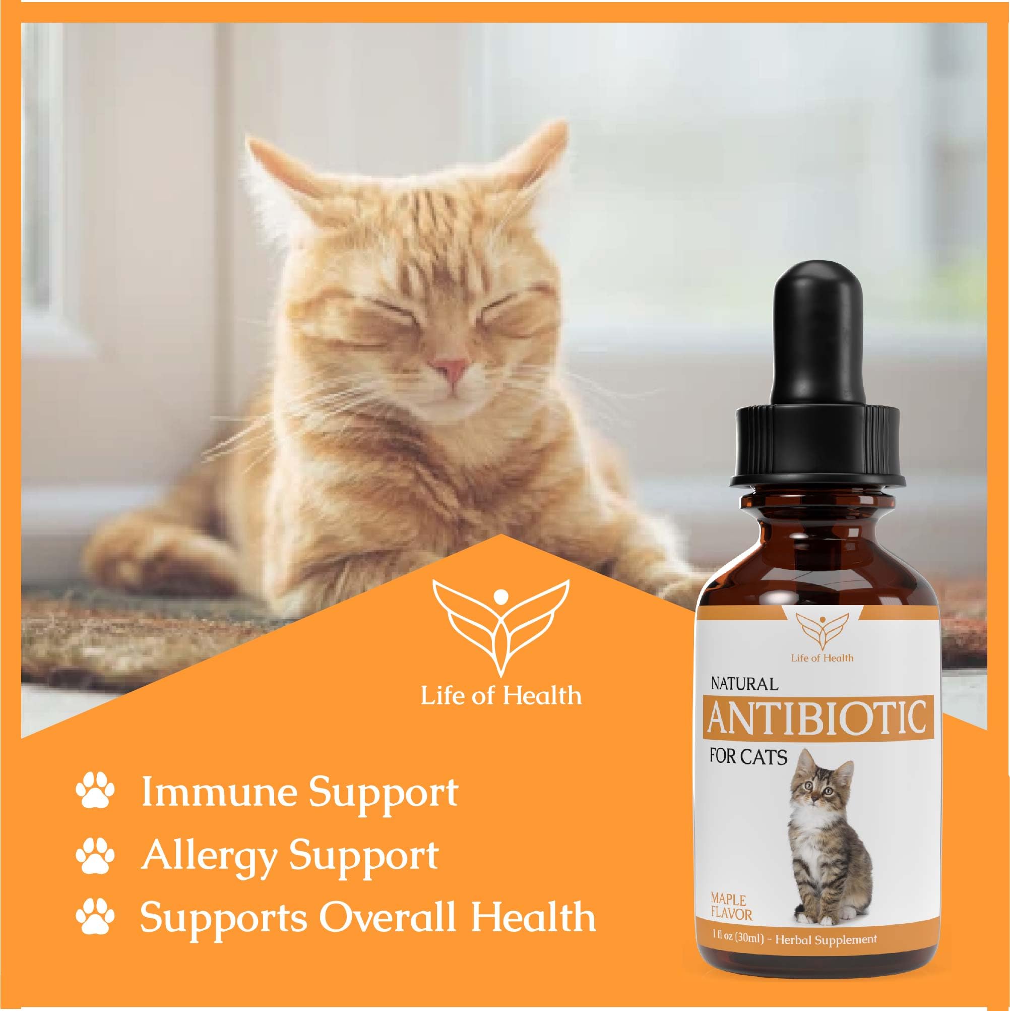 Natural Antibiotics for Cats - Cat Antibiotics - Cat Antibiotic - Pet Antibiotics - Cat Immune Support - Antibiotic for Cats - Cat Multivitamin - Cat UTI Antibiotics - (2 Pack)