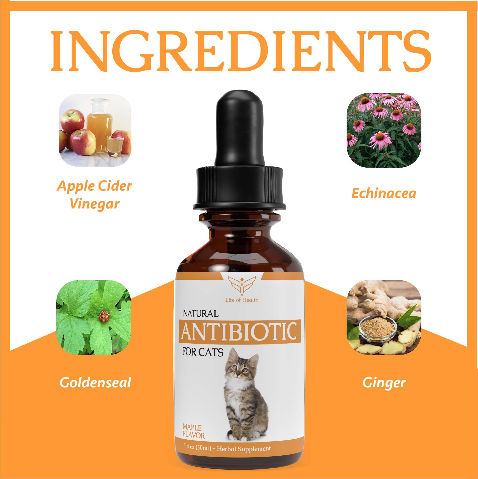 Natural Antibiotics for Cats - Cat Antibiotics - Cat Antibiotic - Pet Antibiotics - Cat Immune Support - Antibiotic for Cats - Cat Multivitamin - Cat UTI Antibiotics - (2 Pack)