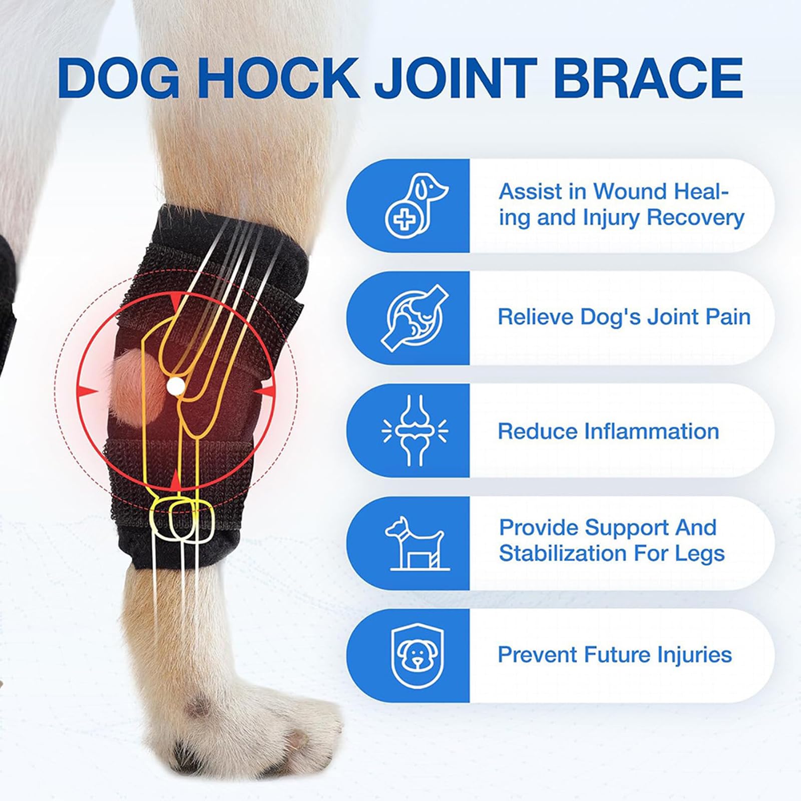 Rantow 2 Pack Dog Joint Brace Rear Leg Canine Hock Support - Dog Elbow Brace Compression Wrap Straps for ACL CCL Joint Injury and Sprain Protection, Healing and Loss of Stability from Arthritis (L)