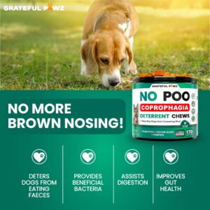 No Poo Chews for Dogs - 170 Chews - Coprophagia Stool Eating Deterrent for Dogs - Prevent Dog from Eating Poop - Stop Eating Poop for Dogs Supplement - Probiotics & Digestive Enzymes