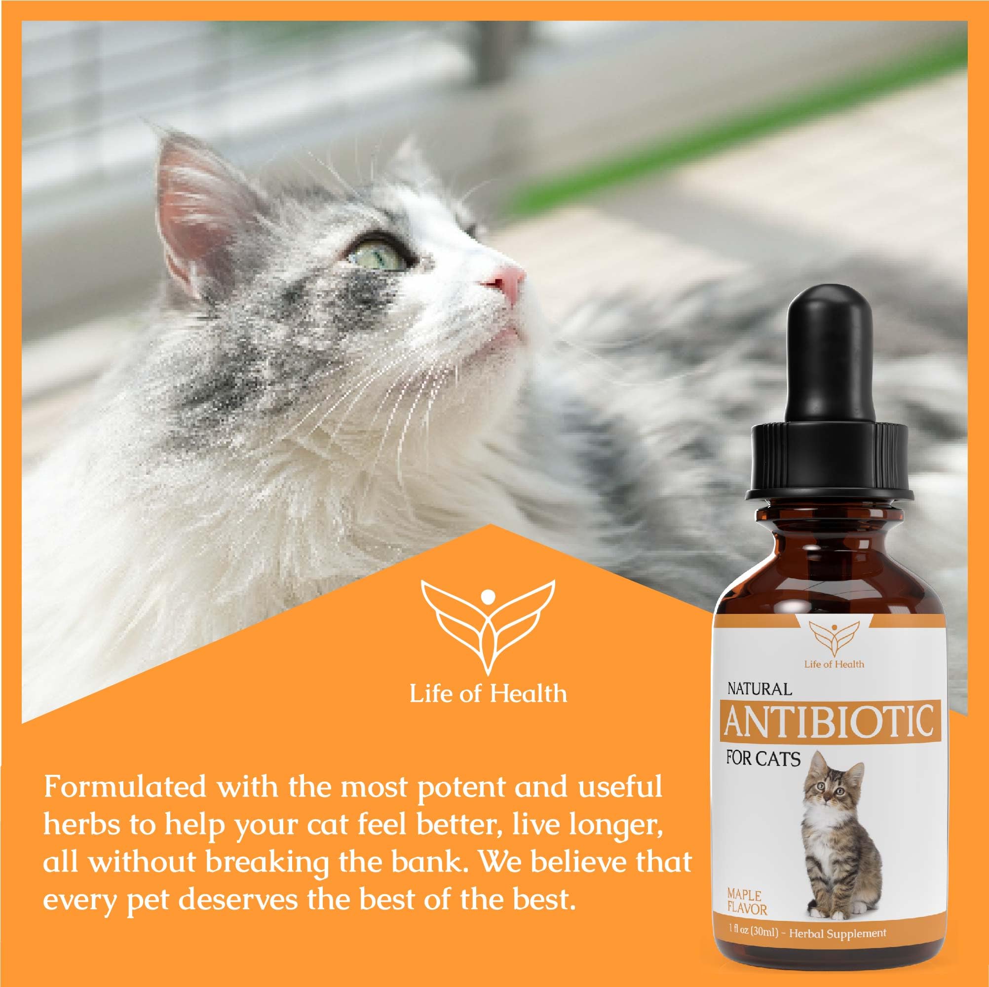 Natural Antibiotics for Cats - Cat Antibiotics - Cat Antibiotic - Pet Antibiotics - Cat Immune Support - Antibiotic for Cats - Cat Multivitamin - Cat UTI Antibiotics - (2 Pack)