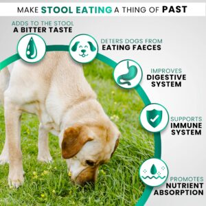 No Poo Chews for Dogs - 170 Chews - Coprophagia Stool Eating Deterrent for Dogs - Prevent Dog from Eating Poop - Stop Eating Poop for Dogs Supplement - Probiotics & Digestive Enzymes