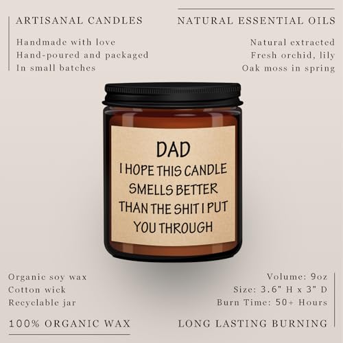 Father's Day Gifts from Wife Son Daughter Father's Day Gifts for Dad Men Birthday Gift Ideas Gag Unique Cool Gifts for Dads Step Dad Bonus Dad New Dad Gifts Funny Fathers Day Candle for Men