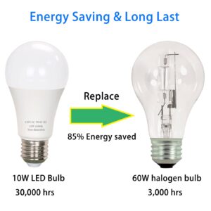 A19 LED Light Bulb - 60 Watt Equivalent, Daylight White 6000K, 800 Lumens 10W LED Bulbs Bright, Non-dimmable, 6-Pack