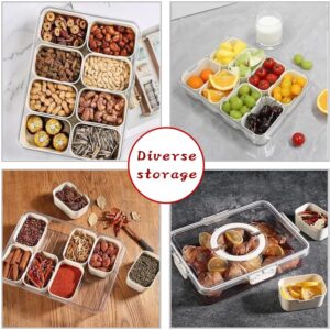 Amaviva Divided Serving Tray with Lid and Handle, Snack Box Container for Portable Snack Platters, Storage Organizer for Fruit, Veggie, Snack, Candy-Perfect for Party, Travel, & Picnic