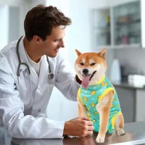 Avont Dog Recovery Suit, Surgery Shirt for Female Spay Male Neuter Skin Conditions, Surgical Onesie Bodysuit Prevent Licking Dog E Collar Cone Alternative -Duck (M)