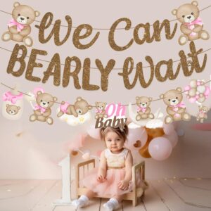 We Can Bearly Wait Banners for Bear Baby Shower Decorations Bear Party Banner 3PCS We Can Bearly Wait Baby Shower Decorations Teddy Bear Cutout Banners for Baby Girls Gender Reveal Party Supplies