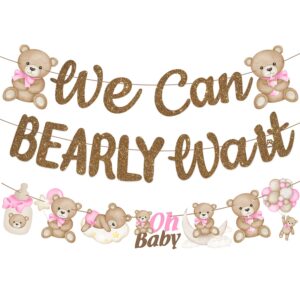 We Can Bearly Wait Banners for Bear Baby Shower Decorations Bear Party Banner 3PCS We Can Bearly Wait Baby Shower Decorations Teddy Bear Cutout Banners for Baby Girls Gender Reveal Party Supplies