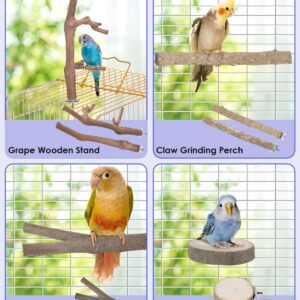 Bissap Bird Perch Stand 7PCS, Natural Grape Wood Pole Standing Parrot Cage Branch Paw Grinding Fork Parakeet Platform Hammock for Conures Budgies Finches Cockatiels Small Birds Exercise Training