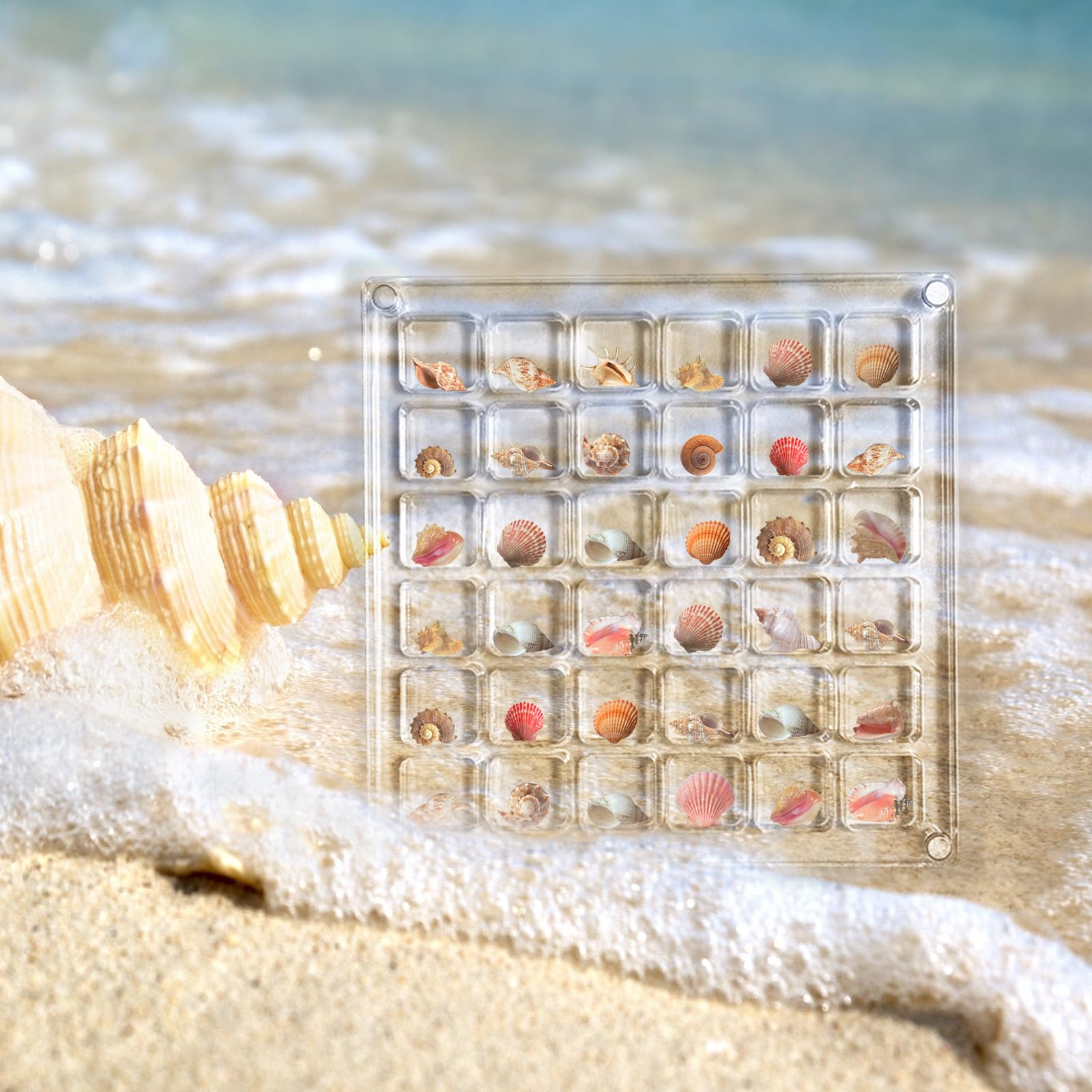 Seashell Display Case with Solid Wood Base, 36 Grids Acrylic Display Box for Small Sea Shell, Transparent Sea Shell Holder, Seashell Container for Home Decoration, Small Craft Organizers Container