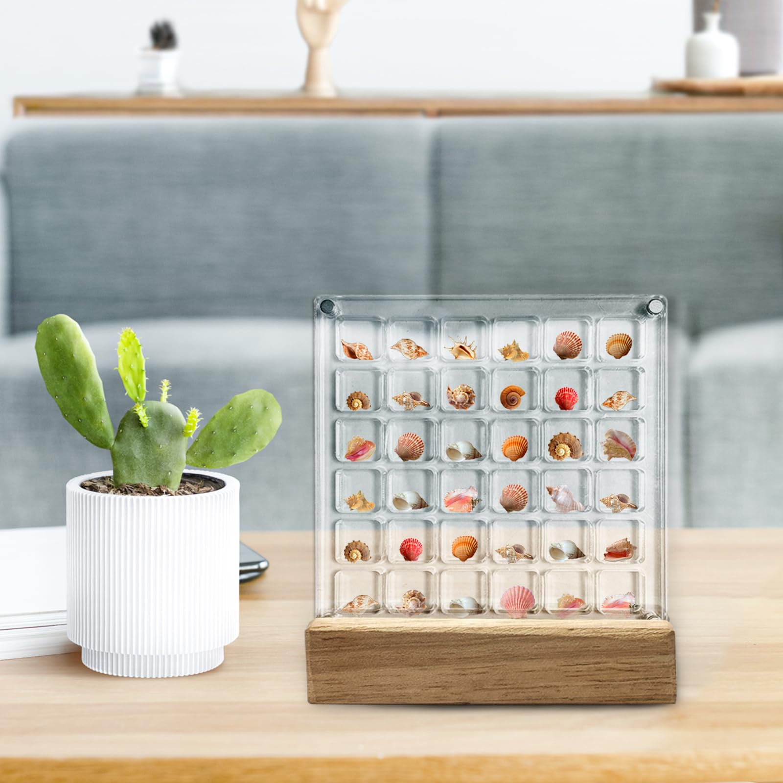 Seashell Display Case with Solid Wood Base, 36 Grids Acrylic Display Box for Small Sea Shell, Transparent Sea Shell Holder, Seashell Container for Home Decoration, Small Craft Organizers Container