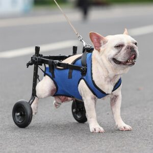 OTRUZPV Small Dog Wheelchair for Back Legs, Adjustable Dog Wheelchairs,Mobility Aids for Disabled Pets, Dog Leg Brace and Hip Support,Mobility Aids for Disabled Pets (XS)