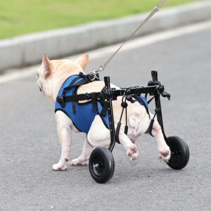 OTRUZPV Small Dog Wheelchair for Back Legs, Adjustable Dog Wheelchairs,Mobility Aids for Disabled Pets, Dog Leg Brace and Hip Support,Mobility Aids for Disabled Pets (XS)