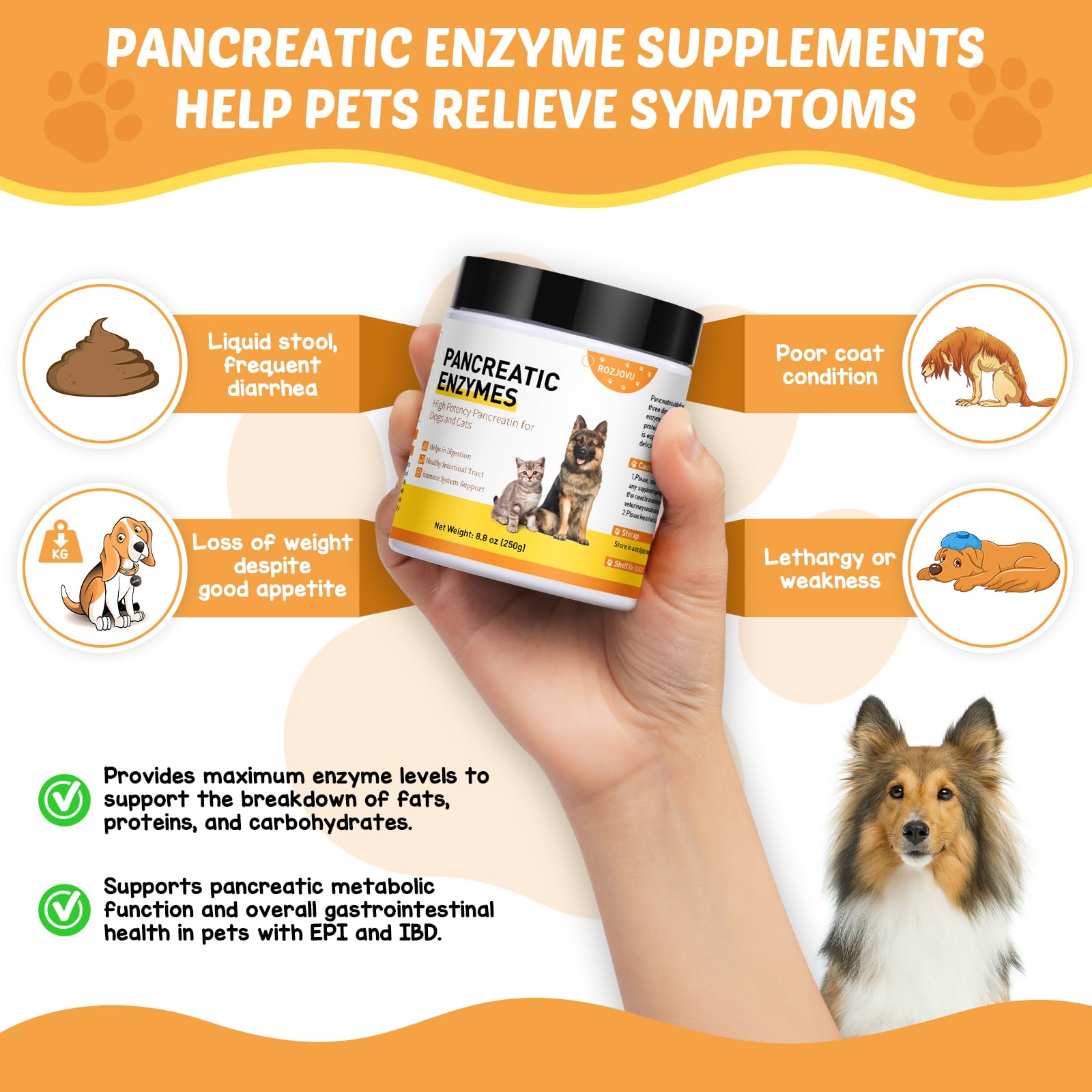 8.8 Ounces Pancreatic Enzymes for Dogs - 10x Pancreatin - Dog Digestive Enzymes Powder for EPI - Helps Restore Normal Weight, Supports Pancreatic Issues and Relieves Digestive Stress