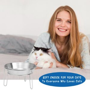 Elevated Cat Bowls Stainless Steel, 5.9 Inch Wide Raised Cat Bowls with Metal Stand Whisker Friendly, 2 Pack Anit-Vomiting Elevated Cat Food and Water Bowl Set for Cats, Kittens and Small Dogs