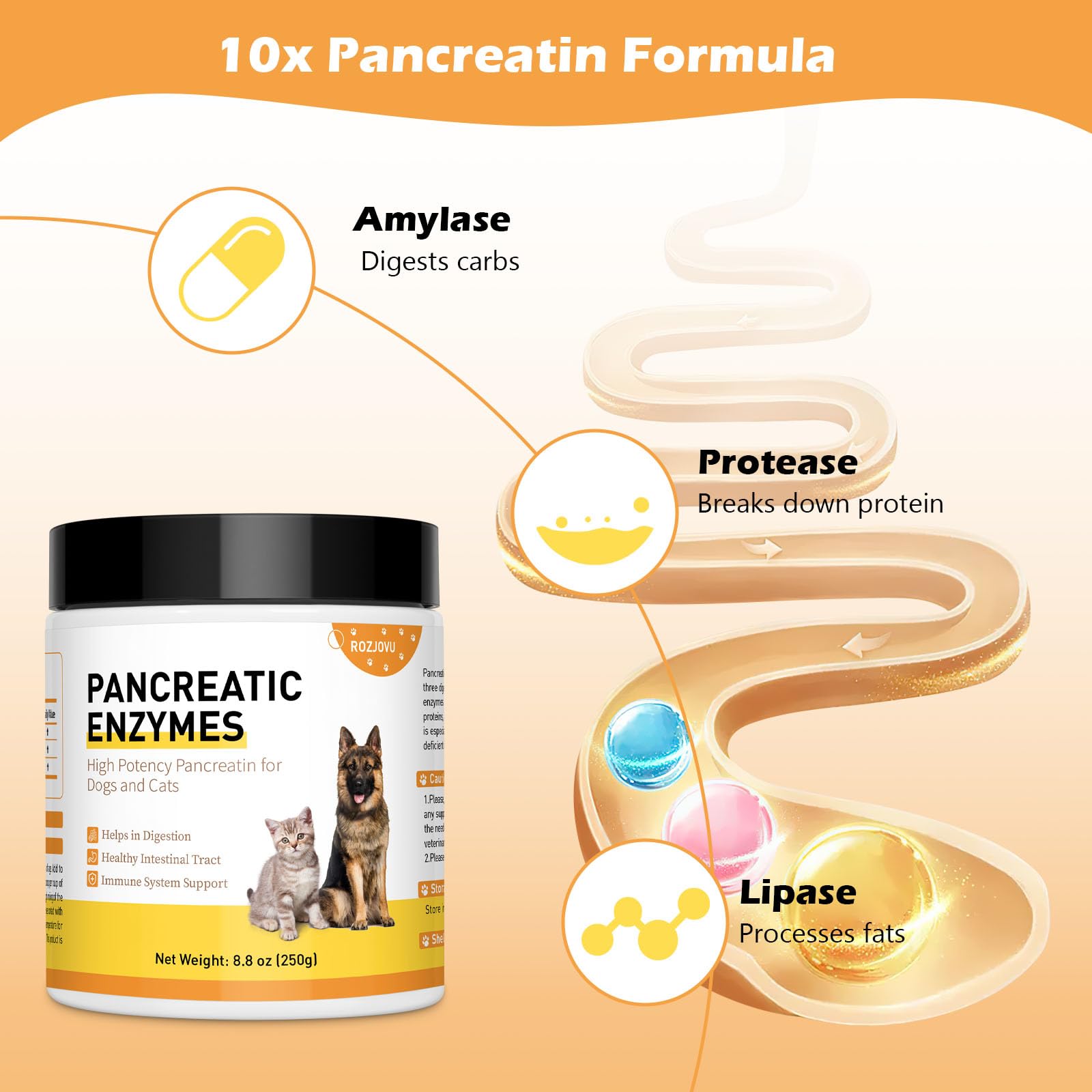 8.8 Ounces Pancreatic Enzymes for Dogs - 10x Pancreatin - Dog Digestive Enzymes Powder for EPI - Helps Restore Normal Weight, Supports Pancreatic Issues and Relieves Digestive Stress