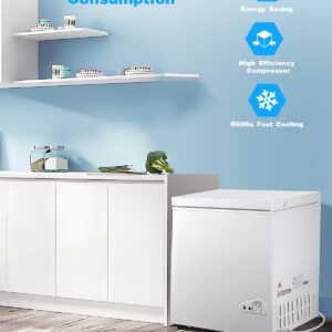 Iorbur FLG-72Q-WHITE 3.5 Cu.Ft Chest 7 Gears Adjustable Temperature Control(-18°F to-46°F) with a Removable Basket, Deep Compact Freezer for Garage, Office, Basement, House, Kitchen, Shop, RVs-White