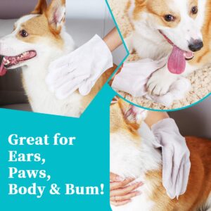 Pet Glove Wipes for Dogs Cats, Extra Thick Hypoallergenic Dog Dry Cleaning Bath Gloves Wipes Deodorizing for Paws/Butt/Teeth/Ear/Eye, Cat Grooming Glove Wipes for Daily Care Traveling(12pcs/2pack)