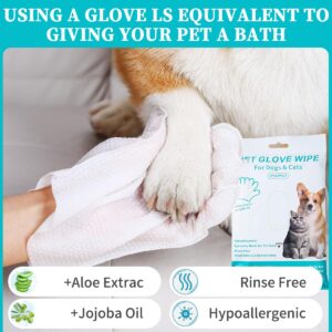 Pet Glove Wipes for Dogs Cats, Extra Thick Hypoallergenic Dog Dry Cleaning Bath Gloves Wipes Deodorizing for Paws/Butt/Teeth/Ear/Eye, Cat Grooming Glove Wipes for Daily Care Traveling(12pcs/2pack)