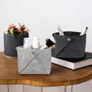 DSJ 2 Pieces Small Foldable Felt Storage Baskets, Shelf Storage Bins for Organizing Key Tray Bowl Home Decor Tabletop Organizer