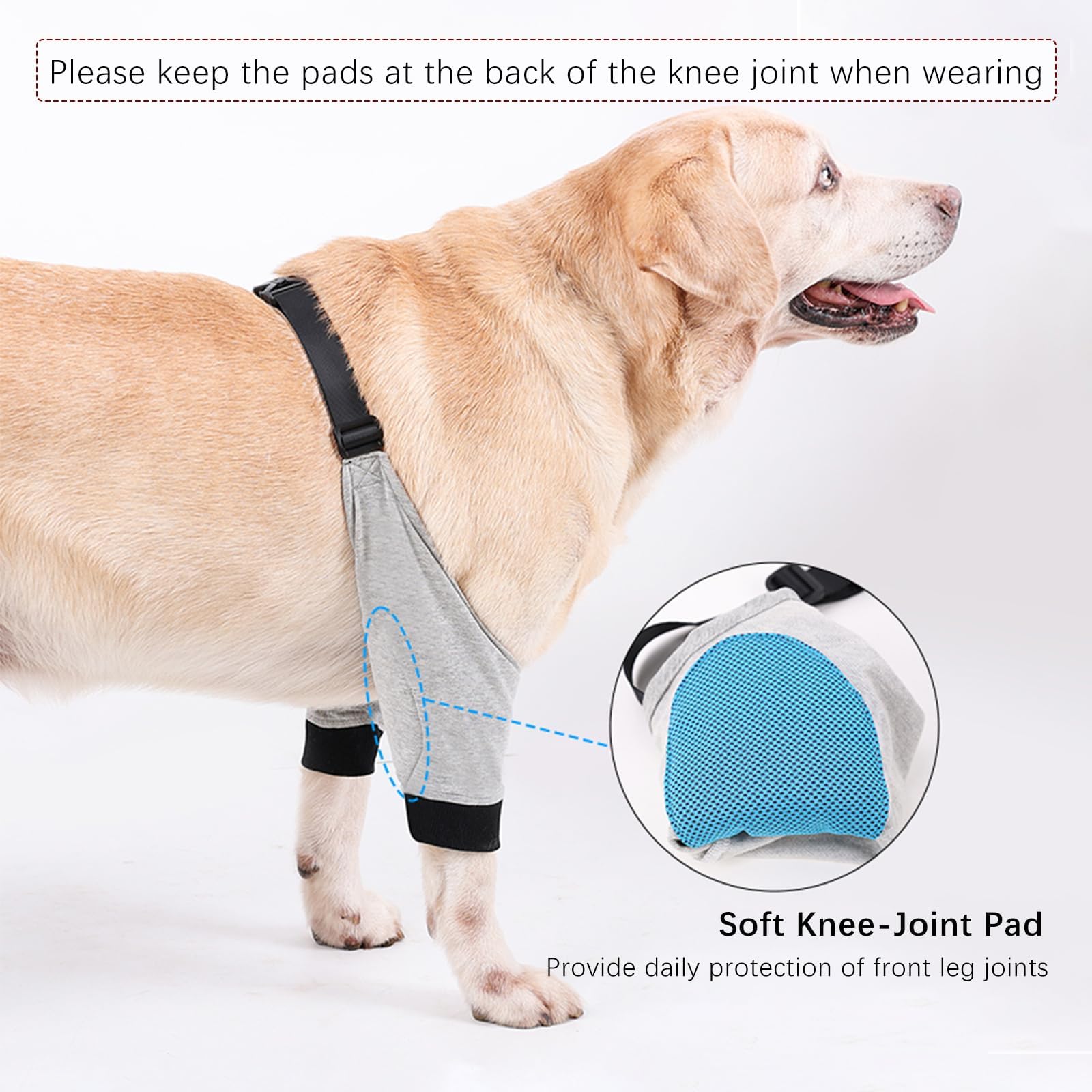 QUEBRAN Dog Elbow Protector for Calluses, Dog Recovery Sleeves for Front Legs, Dog Leg Joint Sleeve Protective Elbow Pads with Elastic Band, Dog Pants to Prevent Licking Wounds (Grey, Medium)