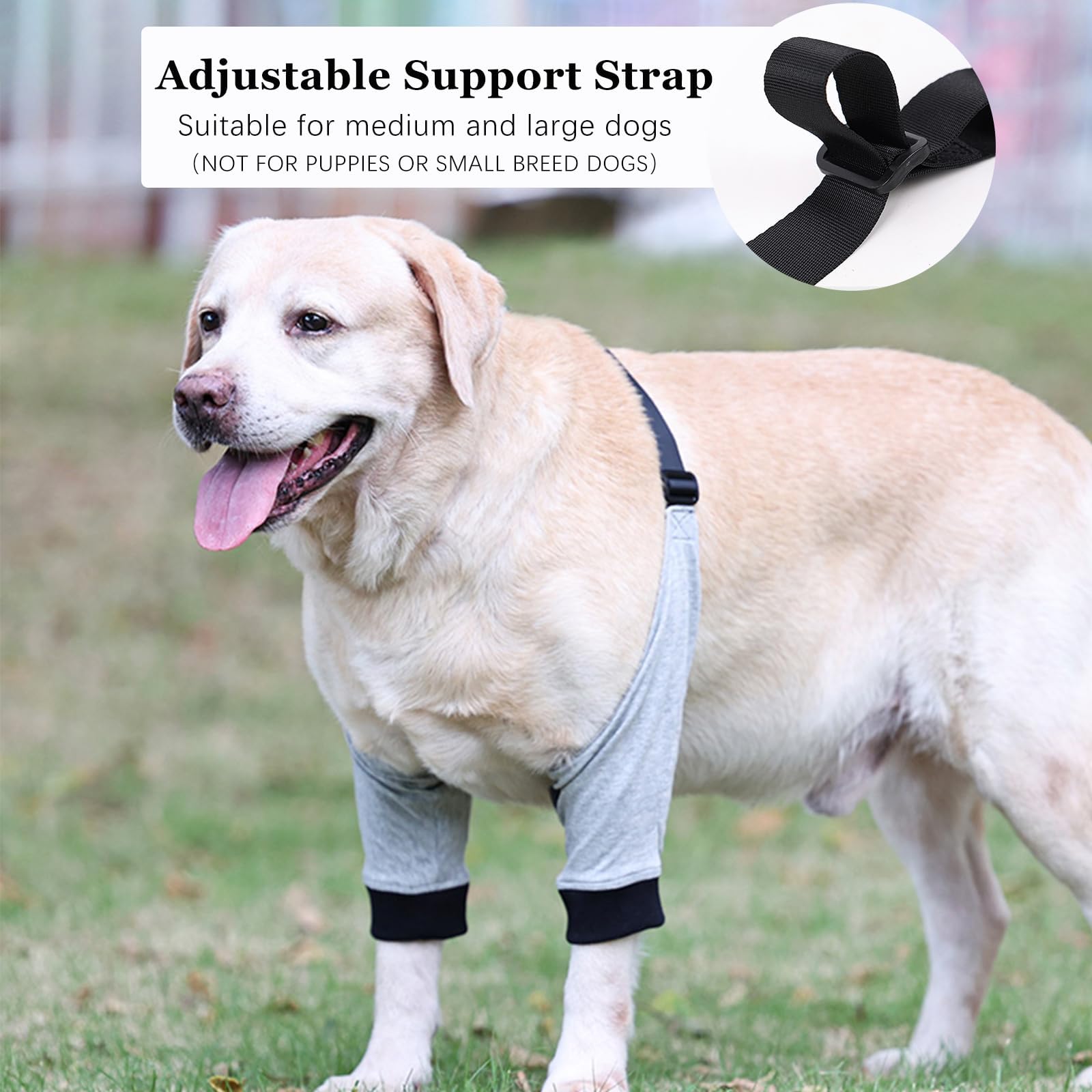 QUEBRAN Dog Elbow Protector for Calluses, Dog Recovery Sleeves for Front Legs, Dog Leg Joint Sleeve Protective Elbow Pads with Elastic Band, Dog Pants to Prevent Licking Wounds (Grey, Medium)