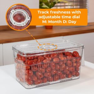 Four Pack Fridge Fruit Storage Container - Set of Four Stackable Refrigerator Organizer Plastic Bins with Lids and Handles, Kitchen Organization for Food, Fruits, Vegetables, Produce. BPA Free