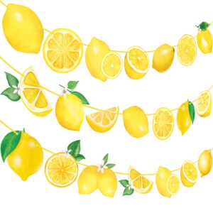 Lemon Party Banners Yellow Lemon Birthday Party Decorations Lemonade theme Banners for Summer Fruit Party Lemon Theme Party Bridal Shower Party Supplies