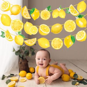 Lemon Party Banners Yellow Lemon Birthday Party Decorations Lemonade theme Banners for Summer Fruit Party Lemon Theme Party Bridal Shower Party Supplies