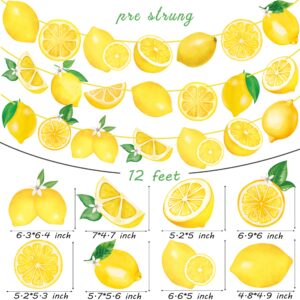 Lemon Party Banners Yellow Lemon Birthday Party Decorations Lemonade theme Banners for Summer Fruit Party Lemon Theme Party Bridal Shower Party Supplies