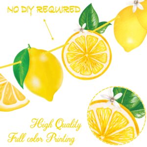 Lemon Party Banners Yellow Lemon Birthday Party Decorations Lemonade theme Banners for Summer Fruit Party Lemon Theme Party Bridal Shower Party Supplies