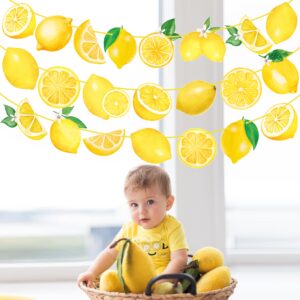 Lemon Party Banners Yellow Lemon Birthday Party Decorations Lemonade theme Banners for Summer Fruit Party Lemon Theme Party Bridal Shower Party Supplies