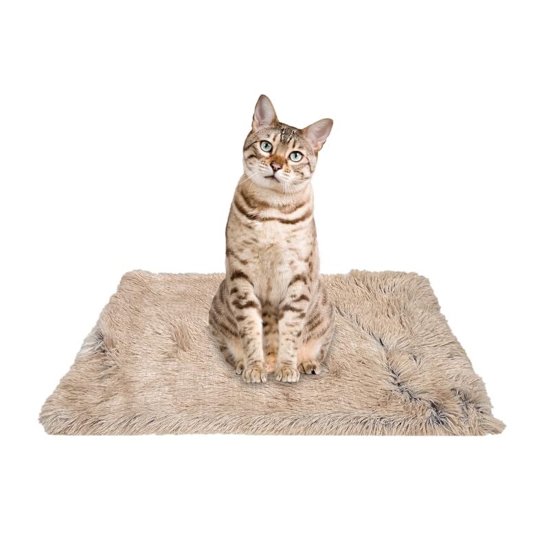 PJYuCien Fluffy Fleece Calming Pet Throw Blanket, Super Soft and Warm for Indoor Cats and Dogs, Small 16 * 24", Machine Washable, Grey Puppy Blanket(Brown)