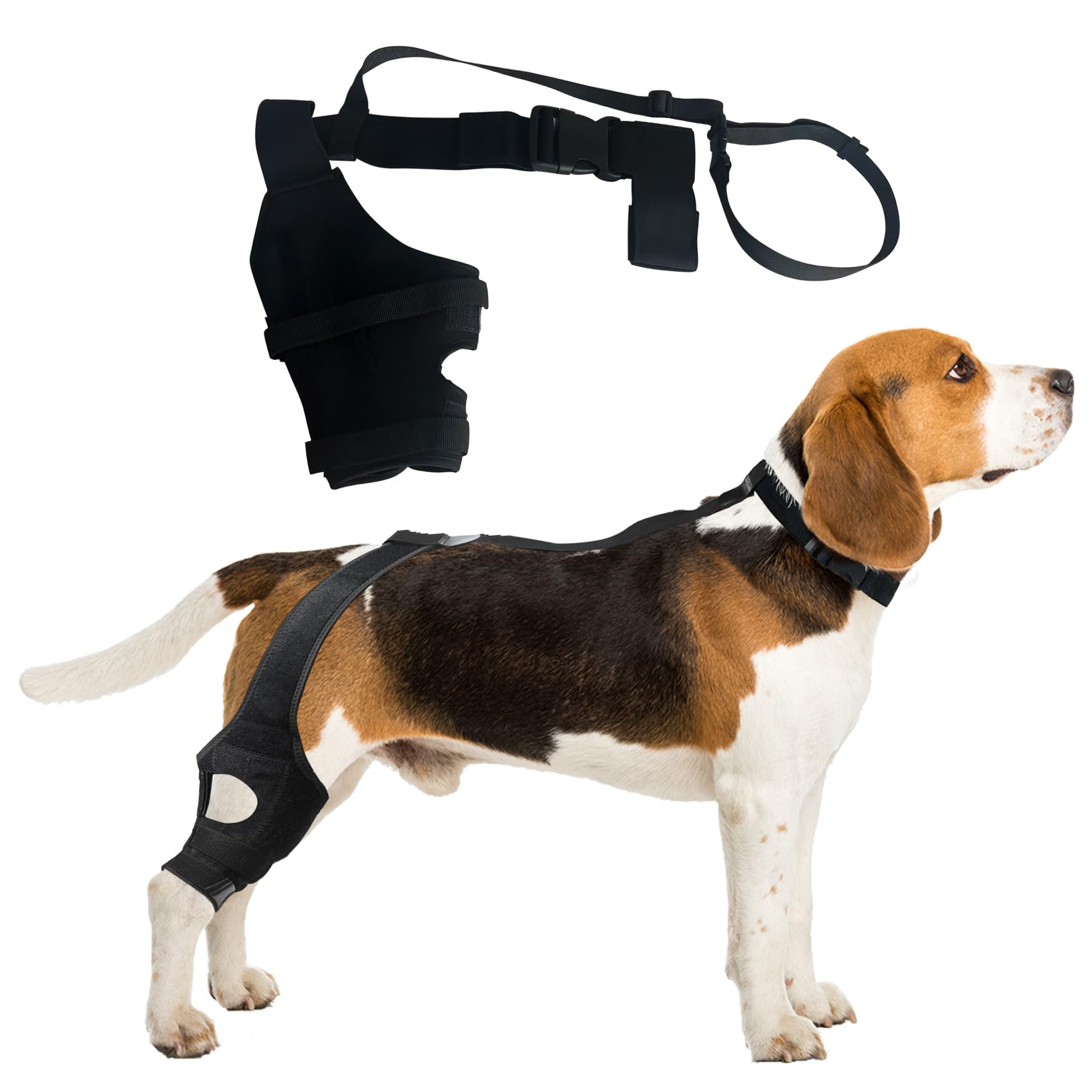 Dog Knee Brace,Dog Knee Brace for Torn Acl Hind Leg,Dog Leg Braces for Back Leg，Lick Sleeve for Dogs Rear Leg,Dog Hip Support Brace,Hip Dysplasia Brace for Dogs,Hip Brace for Dogs,Dog Hip Brace. (S)