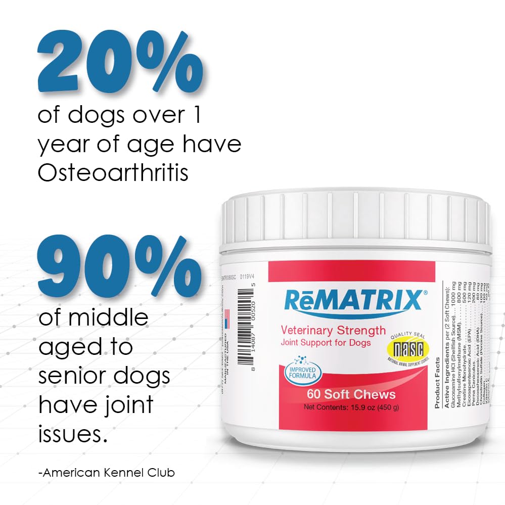 Rematrix Joint Support Supplement for Dogs - Glucosamine, Chondroitin, MSM, Omega-3 - Hip and Joint Pain Relief and Support for Dogs - Made in USA - 60 Soft Chews