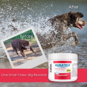 Rematrix Joint Support Supplement for Dogs - Glucosamine, Chondroitin, MSM, Omega-3 - Hip and Joint Pain Relief and Support for Dogs - Made in USA - 60 Soft Chews