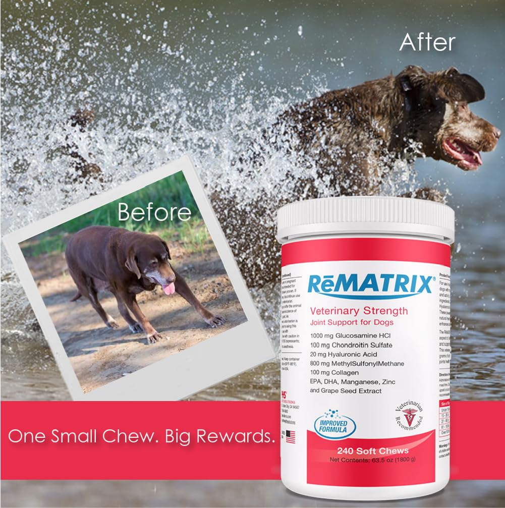 ReMATRIX Joint Support Supplement for Dogs - Glucosamine, Chondroitin, MSM, Omega-3 - Hip and Joint Pain Relief and Support for Dogs - Made in USA - 240 Soft Chews