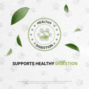 Wolf's Digestion | Natural Herbal Dietary Supplement for Dogs | Healthy Digestion Support in Dogs | Alcohol-Free Extract, Calendula Flower, Licorice Root, Slippery Elm, Pumpkin, Peppermint Leaf 2 oz